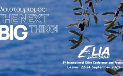 Olive tourism, spearhead for the future of Gastronomic Tourism in Greece