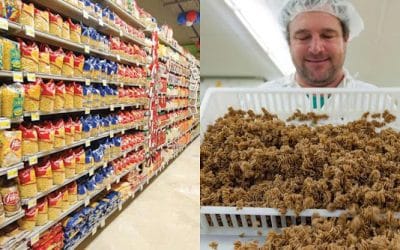 Προσοχή στα τρόφιμα που περιέχουν άλευρα από έντομα