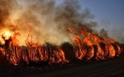 Ελλάδα: Δελτίο πυρκαγιών