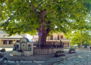 02 Σπήλαιο πλατεία πλατανι μ 1