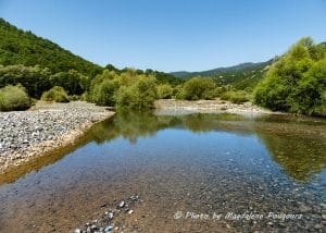 12 Portitsa