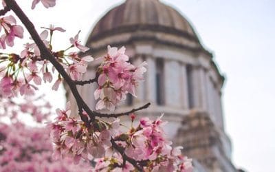 Οι σχεδιαστές της παγκόσμιας στρατηγικής των ΗΠΑ δεν τα λένε καλά για την Ουκρανία: Ποια είναι η πραγματικότητα στα “απρόσεκτα” λόγια του “λαγού” του ΝΑΤΟ;
