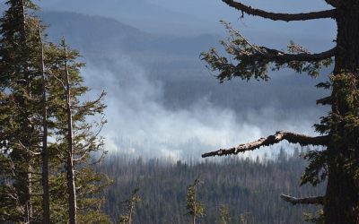 Δελτίο πυρκαγιάς: νεώτερα από τα μέτωπα