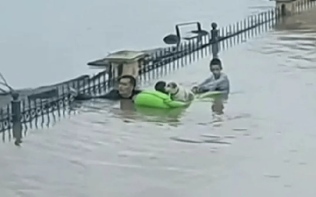 Τί συμβαίνει πραγματικά στον Παλαμά;