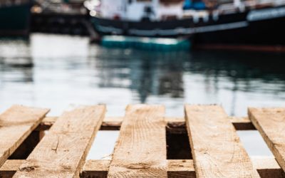 Πολλή φωτιά, πολύ νερό και ένα έγκλημα που πάγωσε τους Έλληνες – Κατάσταση Κινδύνου