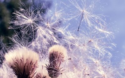 The era of impious omnipotence