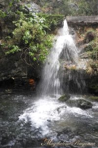 springs of Agitis