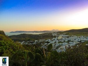 272221176 462902265568624 4374952247091465920 n