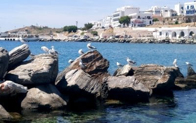 Tinos, the alluring "unknown" of the Cyclades and the brilliant celebrations for finding the miraculous icon