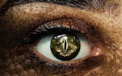 Ο Αντίχριστος «παγιδεύτηκε» στην Παλαιστίνη!…