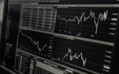 Προβλέψεις για το έτος εκκίνησης 2024