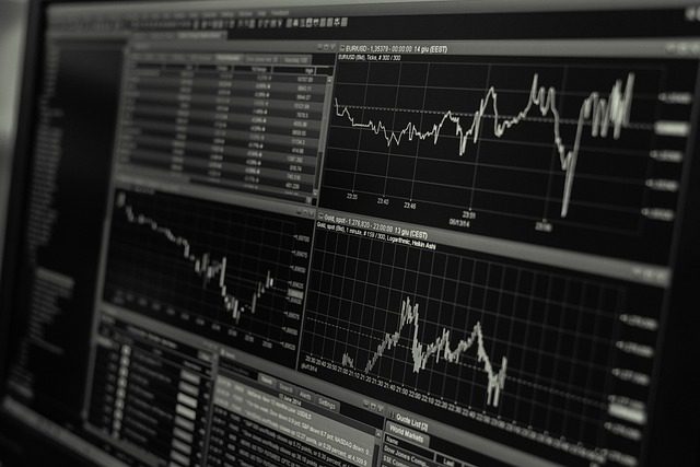 Προβλέψεις για το έτος εκκίνησης 2024