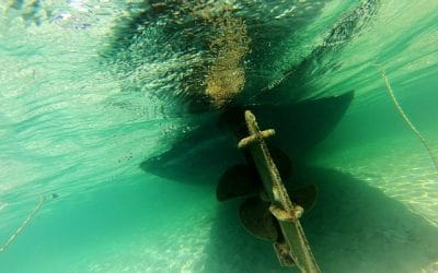 ΕΚΠΤΩΤΟΣ ΑΓΓΕΛΟΣ