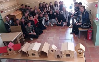 Γυμνάσιο Δράμας: Η εθελοντική προσπάθεια και πάλι πρωταγωνιστεί