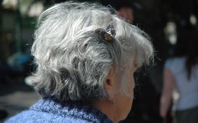 Η ΞΕΝΗ ΓΡΑΙΑ
