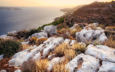 Γεωοικονομία και Γεωστρατηγική της Κρήτης