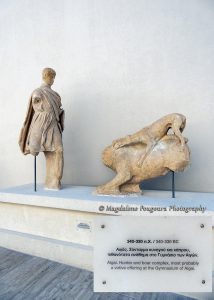 Σκύλος 02
