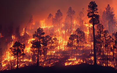 Φωτιά στην Εύβοια