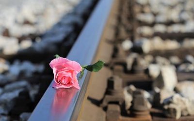 Η βία έχει πολλά ποδάρια….