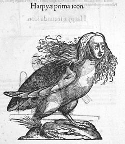 250px Aldrovandi 0337