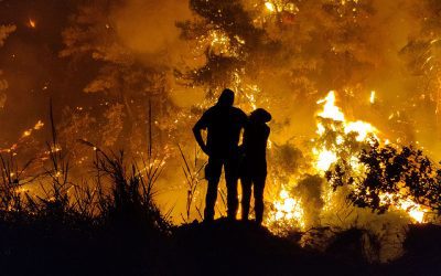 Εύβοια: Κάτω από τη Σκιά των Πυρκαγιών – Αντίδραση της Πολιτείας και η Απογοήτευση των Κατοίκων