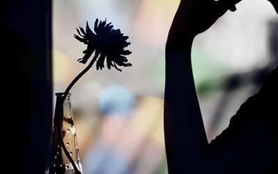 Μου λένε πως μιλώ όλο γι’ αγάπη