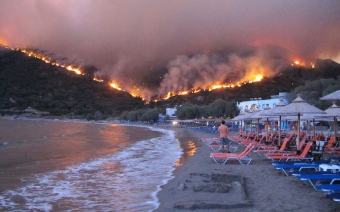 Η Θλίψη και η Οργή για τη Διάλυση των Δασών: Ένας Χρόνος Σταυρός για την Ελλάδα