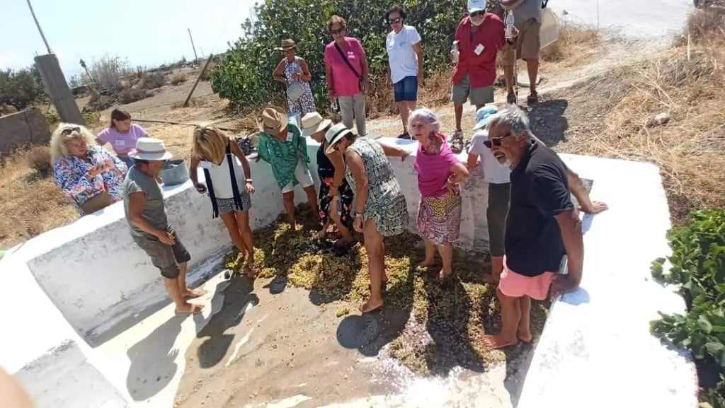 Οινικές Διαδρομές Παρίων – «Θύμησες Οίνου».