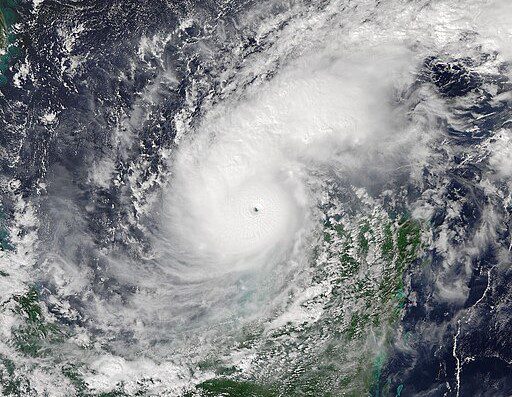 Support for People Affected by Hurricanes