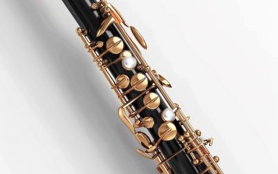 ΚΡΑΤΑΕΙ ΚΛΑΡΙΝΟ Η ΡΙΖΑ ΤΗΣ ΖΩΗΣ