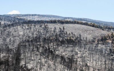 ΣΥΓΚΕΝΤΡΩΣΗ ΔΙΑΜΑΡΤΥΡΙΑΣ ΕΝΑΝΤΙΑ ΣΤΗΝ ΚΑΤΑΣΤΡΟΦΗ ΤΗΣ ΕΥΒΟΙΑΣ – ΣΚΥΡΟΥ ΣΕ ΣΤΕΡΙΑ ΚΑΙ  ΘΑΛΑΣΣΑ