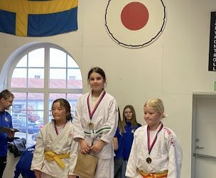 10χρονη Ελληνίδα ομογενής στην Σουηδία σαρώνει τα μετάλλια στο τζούντο-“Να αγωνιστώ σε διεθνείς αγώνες”