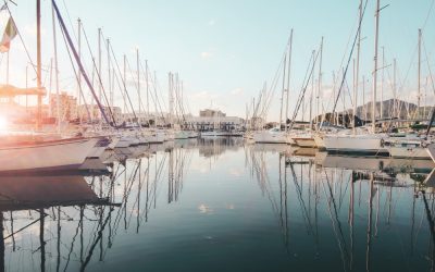 In the microport