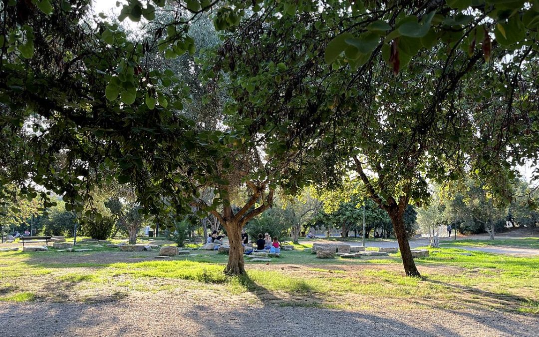 Αξιοθέα η Φλειασία, Λασθένεια η Μαντική, Ακάδημος και Ακαδημία Πλάτωνος