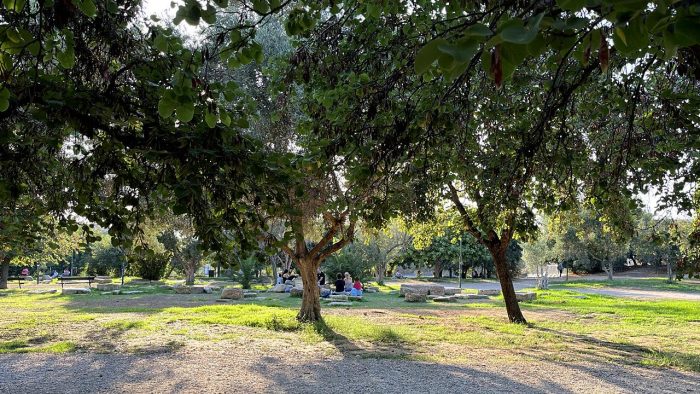 Αξιοθέα η Φλειασία, Λασθένεια η Μαντική, Ακάδημος και Ακαδημία Πλάτωνος