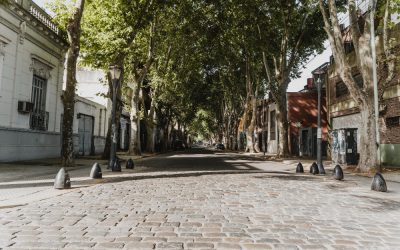 Οκτώ συλλήψεις από τη Δίωξη Ναρκωτικών στο πλαίσιο δράσης για την καταπολέμηση διακίνησης ναρκωτικών στην Αγία Βαρβάρα Αττικής