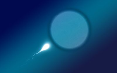 Σκάνδαλο στην Ολλανδία: Δότες σπέρματος απέκτησαν μέχρι και 75 παιδιά – «Ιατρική καταστροφή»