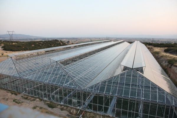 Σπιρουλίνα