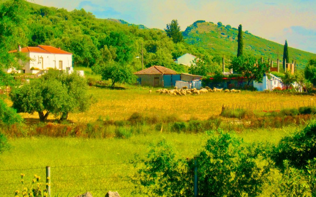 Is Greece Becoming a Non-Viable Nation State?