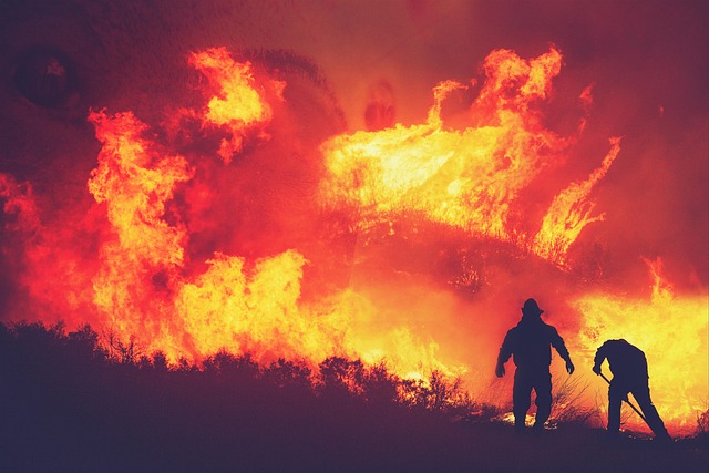 Όταν Όλη η Ελλάδα Καίγεται — Και Εμείς Τι Κάνουμε;