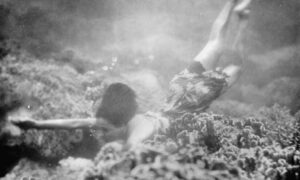 A pearl diver at work 007