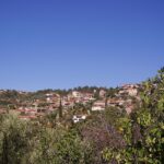ΙΣΤΟΡΙΚΗ ΓΙΟΡΤΗ ΣΤΙΣ ΚΟΛΛΙΝΕΣ