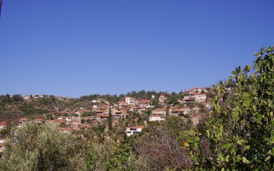 ΙΣΤΟΡΙΚΗ ΓΙΟΡΤΗ ΣΤΙΣ ΚΟΛΛΙΝΕΣ