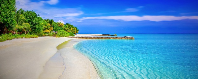 SENSAY ISLAND: Το πρώτο νησί στον κόσμο με κυβέρνηση Τεχνητής Νοημοσύνης