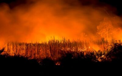 Τεράστια πυρκαγιά στα Everglades. 45.000 στρέμματα καμένα – Καπνός σκεπάζει την κομητεία του Broward