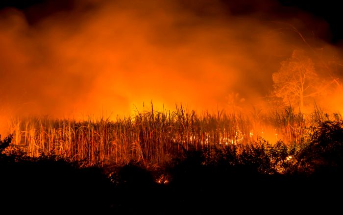 Τεράστια πυρκαγιά στα Everglades. 45.000 στρέμματα καμένα – Καπνός σκεπάζει την κομητεία του Broward