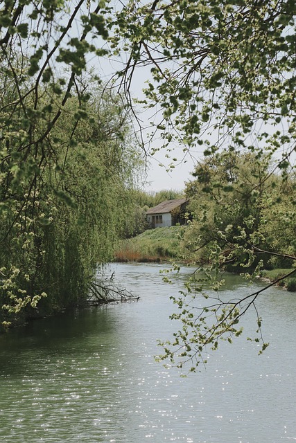 Ο ήρωας της καρδιάς