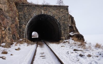 Ο ΕΛΛΗΝΙΣΜΟΣ ΣΤΗ ΡΩΣΙΑ, ΣΤΗΝ ΕΣΣΔ ΚΑΙ ΣΤΙΣ ΧΩΡΕΣ ΤΗΣ ΠΡΩΗΝ ΕΣΣΔ