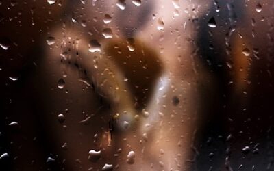 Άνδρας επίσκεψις ποιήσεως