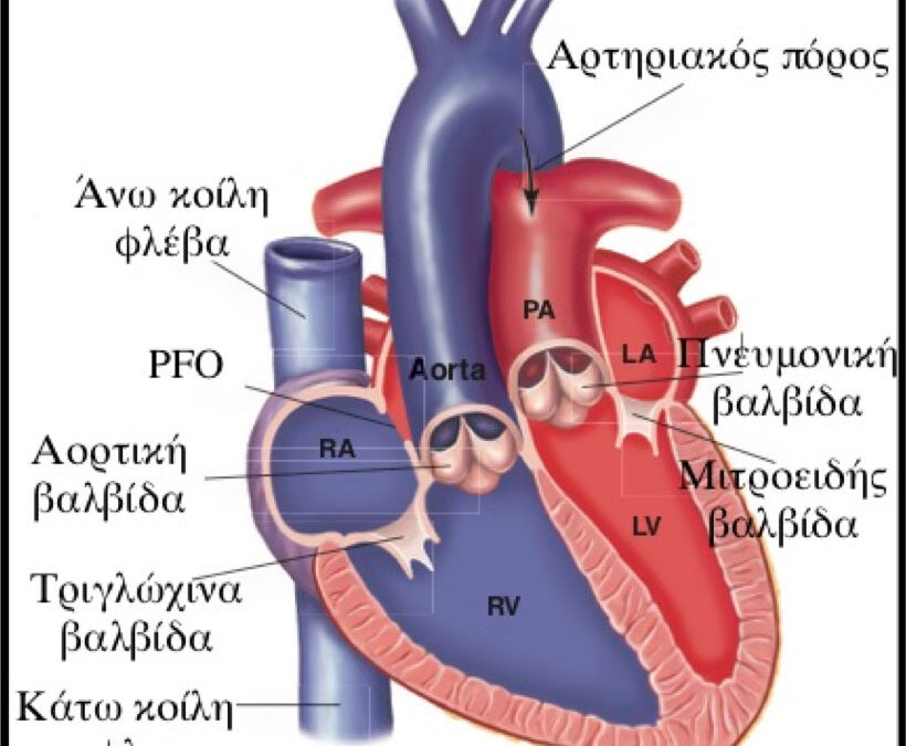 ΚΑΡΔΙΑΚΑ ΦΥΣΗΜΑΤΑ